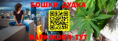 молекула духа Будённовск