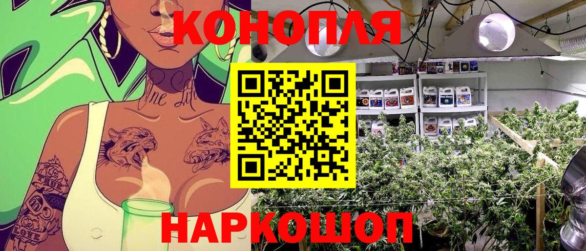 Бошки Шишки Amnesia  Вход с VPN  Каннабис индика  Бошки Шишки OG Kush  Пугачёв 