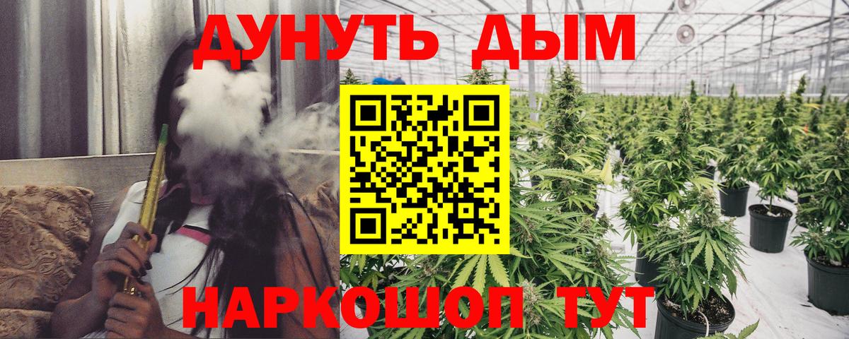 Каннабис Amnesia Пугачёв